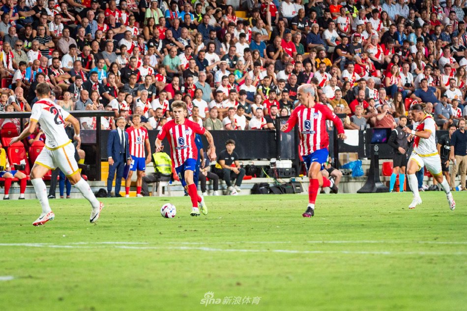 视频的亮点 视频的亮点